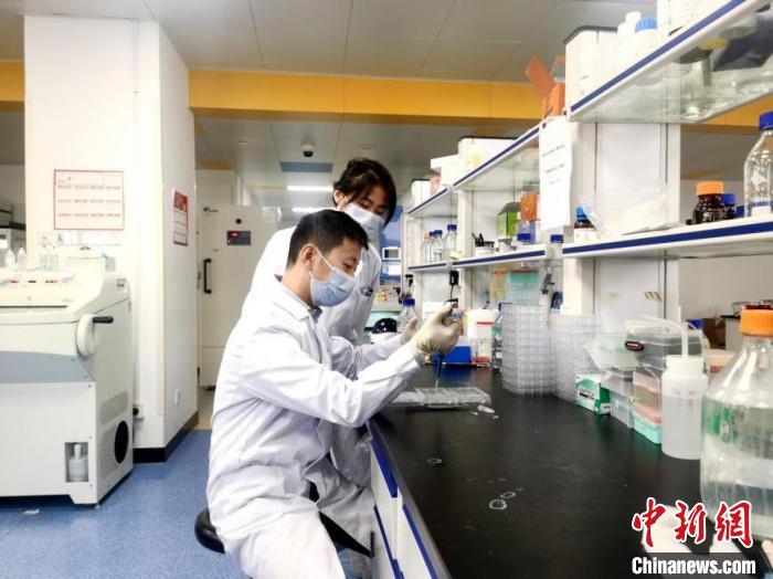 星欧平台官方:中国学者最新研究成果有望为全球卒中患者提供治疗新方案