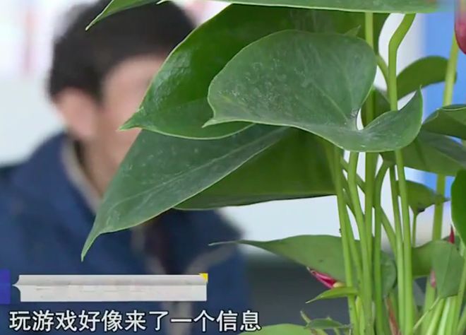 星欧平台注册:人妻主动脱衣诱惑干弟弟 在车上发生关系肉偿债务